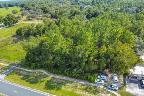 Land in Lecanto, Florida № 1854295 - photo 2