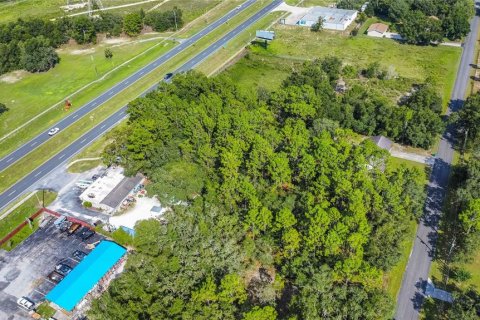 Land in Lecanto, Florida № 1854295 - photo 23