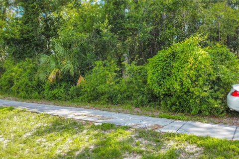 Land in Lecanto, Florida № 1854295 - photo 5