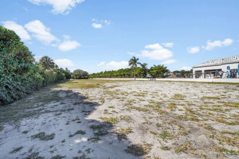 Casa en venta en Gulf Stream, Florida, 6 dormitorios, 1198.16 m2 № 2429778 - foto 17