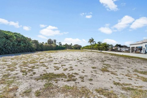 Casa en venta en Gulf Stream, Florida, 6 dormitorios, 1198.16 m2 № 2429778 - foto 19