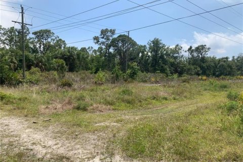 Terrain à vendre à Punta Gorda, Floride № 2206083 - photo 8
