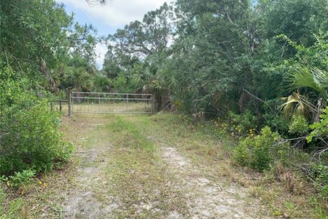 Terrain à vendre à Punta Gorda, Floride № 2206083 - photo 5