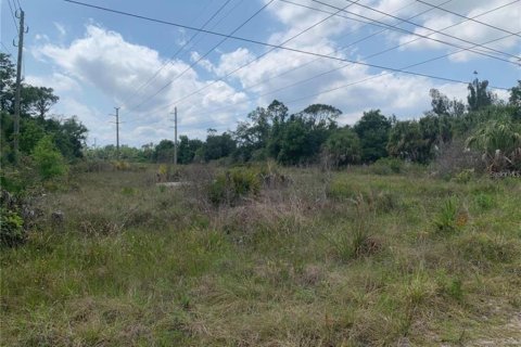 Terrain à vendre à Punta Gorda, Floride № 2206083 - photo 6