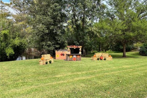 Land in Silver Springs Shores, Florida № 1879137 - photo 25