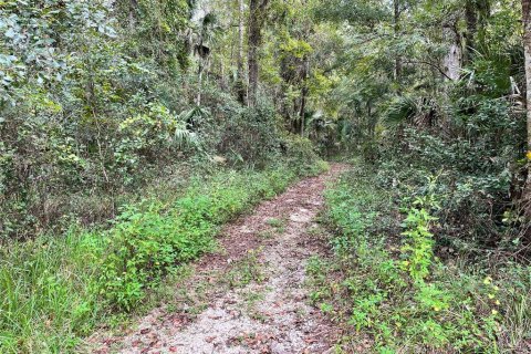 Land in Silver Springs Shores, Florida № 1879137 - photo 30