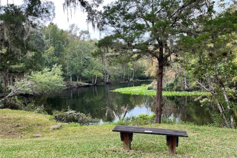 Land in Silver Springs Shores, Florida № 1879137 - photo 27