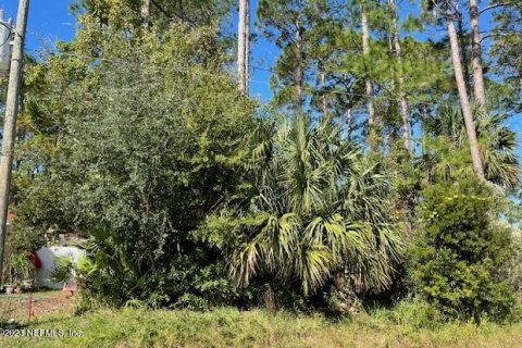 Land in Palm Coast, Florida № 850896 - photo 1