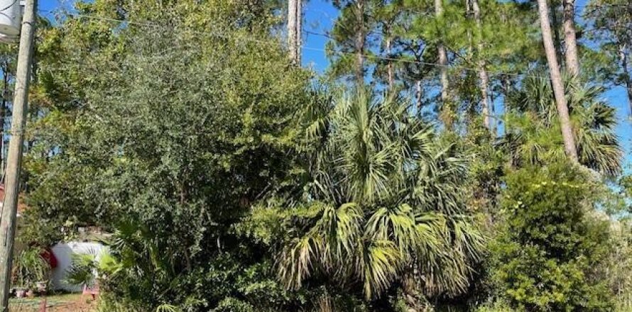 Land in Palm Coast, Florida № 850896