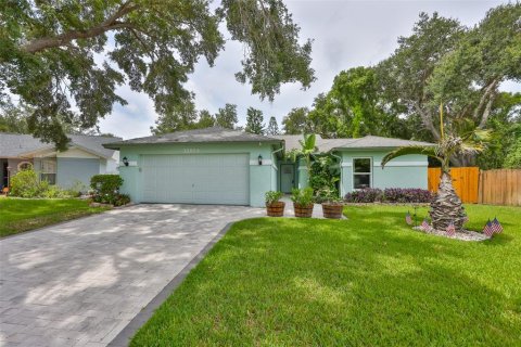 House in Riverview, Florida 4 bedrooms, 155.52 sq.m. № 1839999 - photo 1