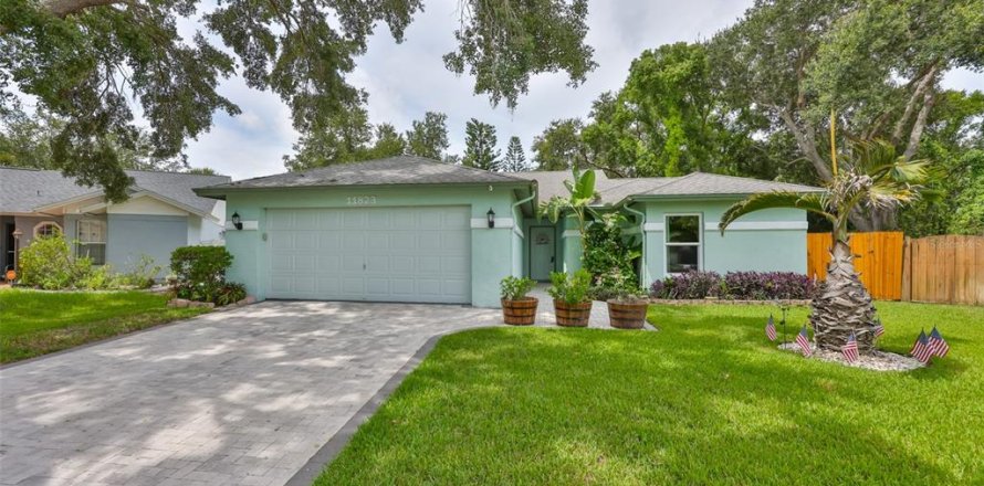House in Riverview, Florida 4 bedrooms, 155.52 sq.m. № 1839999