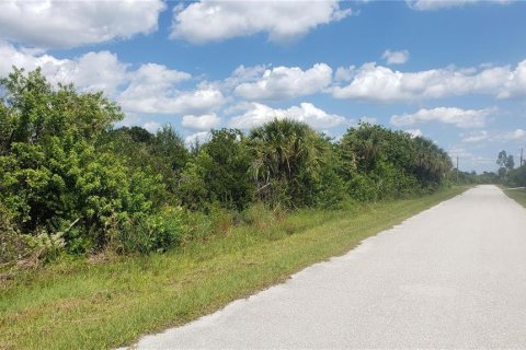 Land in Port Charlotte, Florida № 2159905 - photo 2