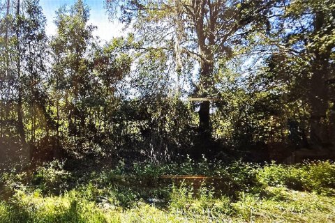 Land in Branford, Florida № 1677148 - photo 1