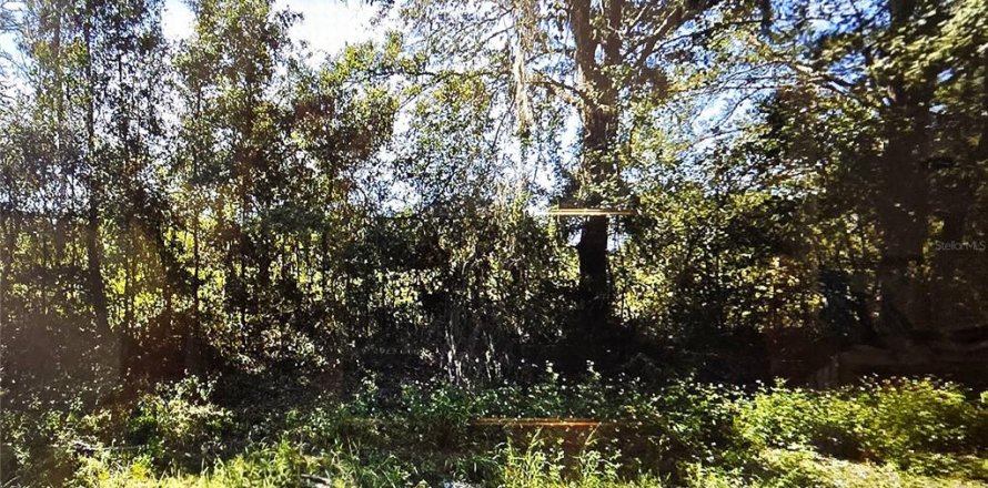 Land in Branford, Florida № 1677148