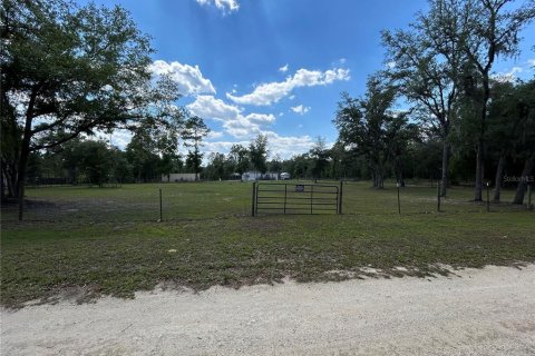 Land in Williston, Florida № 2341729