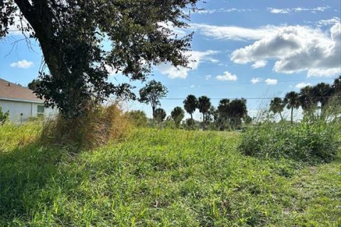 Terreno en venta en Rotonda, Florida № 2160413 - foto 4