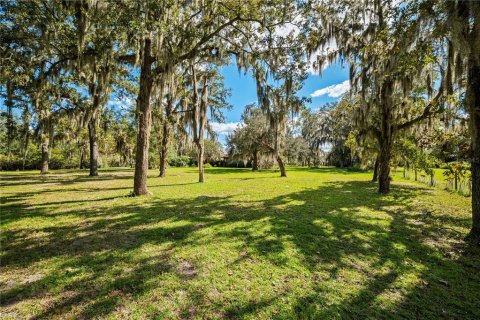 House in Middleburg, Florida 4 bedrooms, 192.4 sq.m. № 2420534 - photo 8