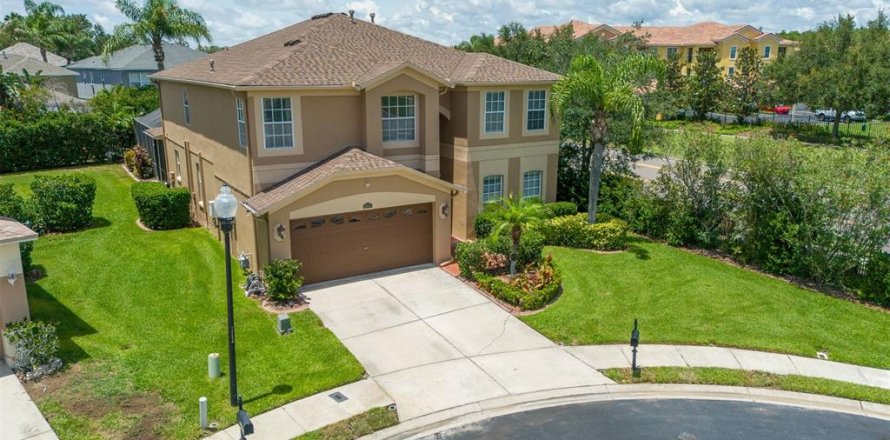 Villa ou maison à Trinity, Floride 5 chambres, 327.39 m2 № 2201366