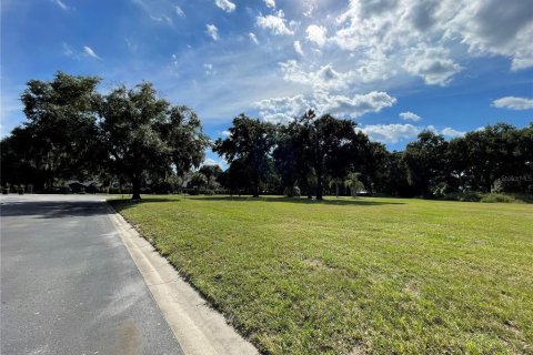 Land in Sanford, Florida № 2393688 - photo 3
