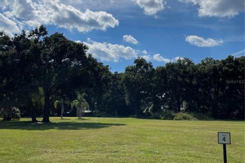 Land in Sanford, Florida № 2393688 - photo 4