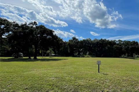 Land in Sanford, Florida № 2393688