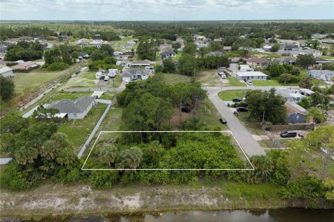 Land in Lehigh Acres, Florida № 2221219 - photo 2