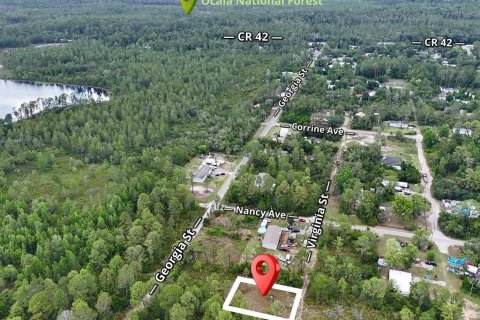 Land in Paisley, Florida № 2162427 - photo 4