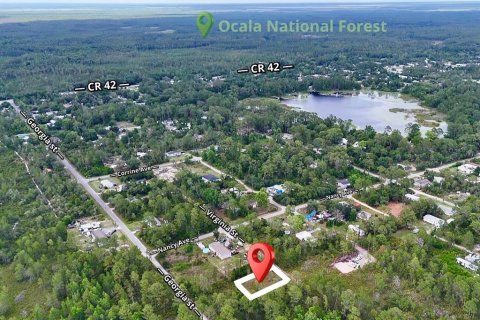 Land in Paisley, Florida № 2162427 - photo 5