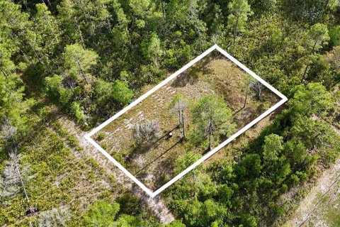 Land in Paisley, Florida № 2162427