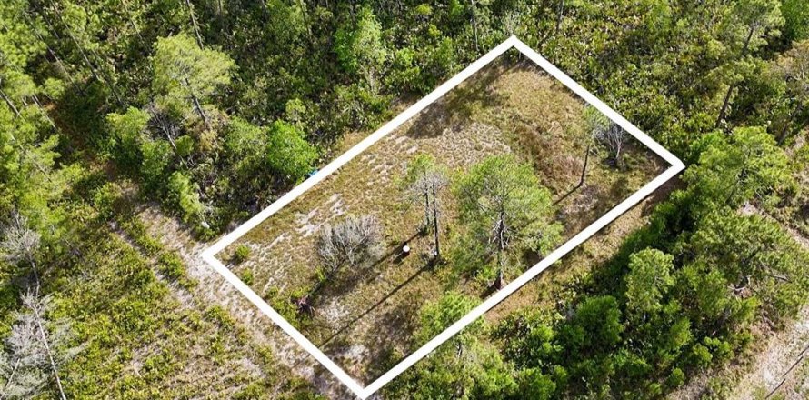 Land in Paisley, Florida № 2162427
