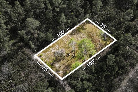 Land in Paisley, Florida № 2162427 - photo 2