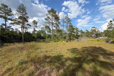 Land in Paisley, Florida № 2162427 - photo 7