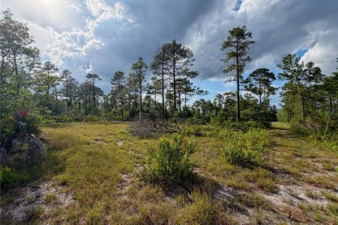 Land in Paisley, Florida № 2162427 - photo 6