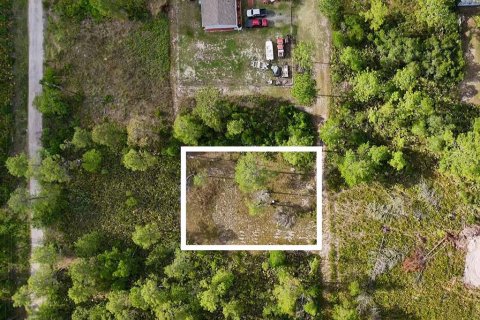 Land in Paisley, Florida № 2162427 - photo 3