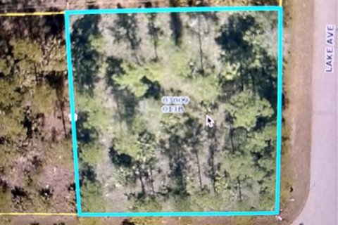 Land in Lehigh Acres, Florida № 2215032