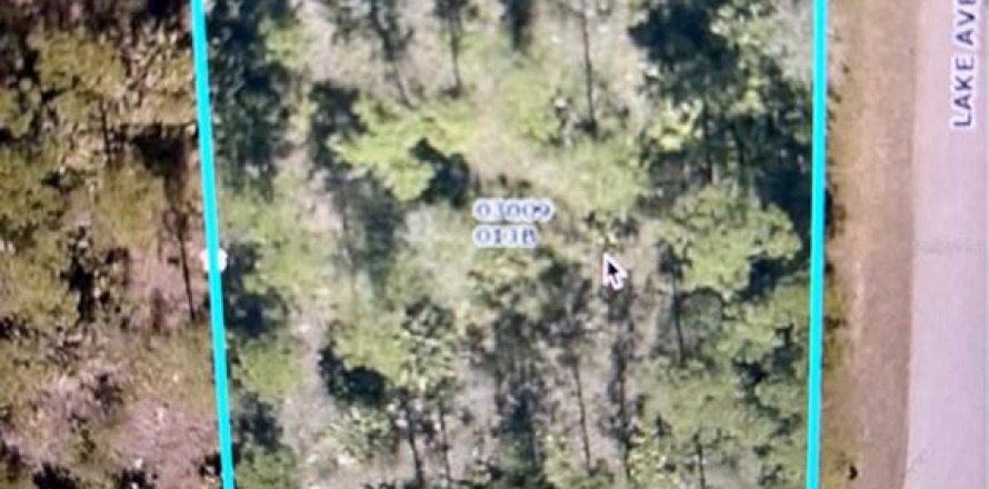Land in Lehigh Acres, Florida № 2215032