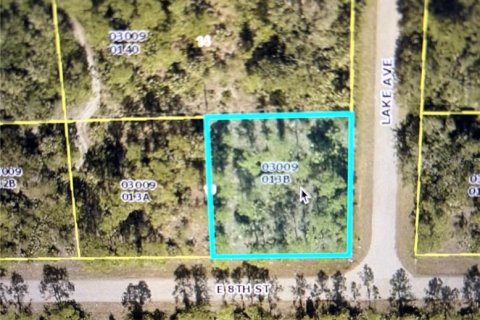 Land in Lehigh Acres, Florida № 2215032 - photo 2