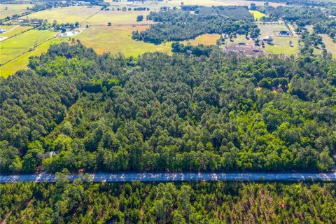 Land in Lake Butler, Florida № 2159676 - photo 2