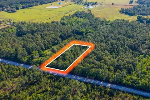 Land in Lake Butler, Florida № 2159676
