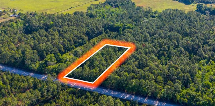 Land in Lake Butler, Florida № 2159676