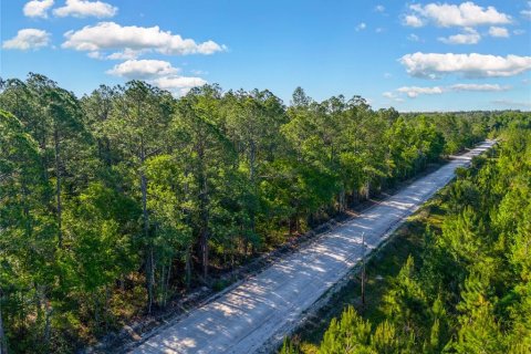 Land in Lake Butler, Florida № 2159676 - photo 3