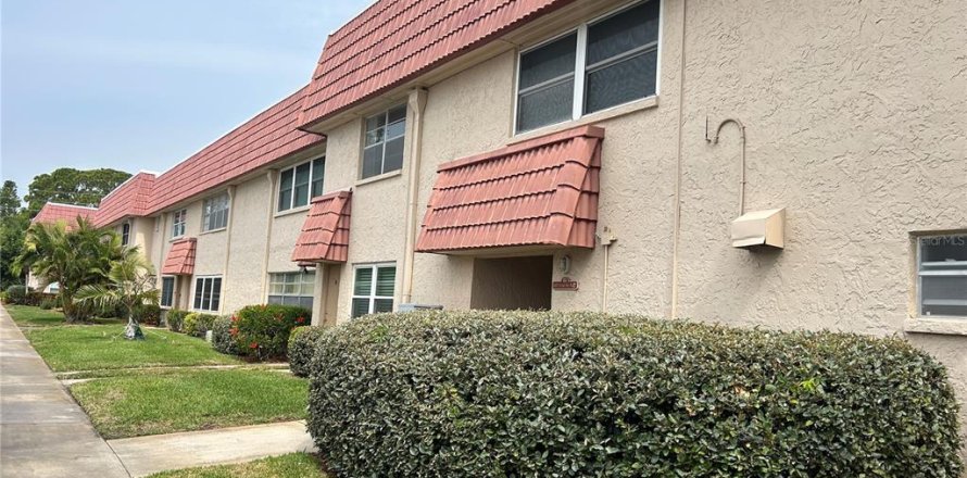 Condo in Saint Petersburg, Florida, 2 bedrooms  № 2227833
