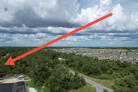Land in Port Charlotte, Florida № 2165261 - photo 14