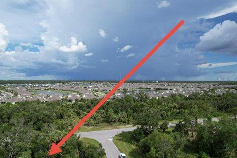 Land in Port Charlotte, Florida № 2165261 - photo 10