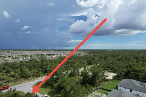 Land in Port Charlotte, Florida № 2165261 - photo 9