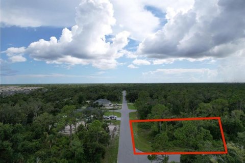 Land in Port Charlotte, Florida № 2165261 - photo 12