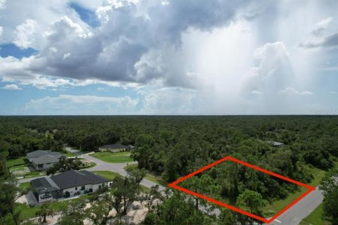Land in Port Charlotte, Florida № 2165261 - photo 5