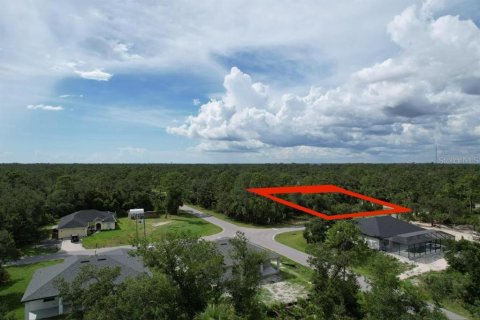 Land in Port Charlotte, Florida № 2165261 - photo 2