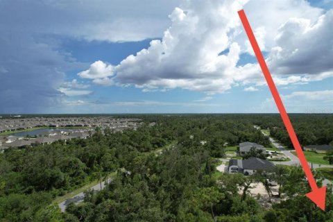 Land in Port Charlotte, Florida № 2165261 - photo 6