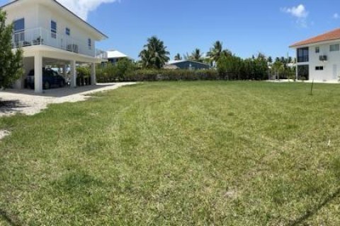 Land in Big Pine Key, Florida № 1753332 - photo 7